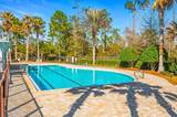 50 Cinnamon Fern Lane - Photo 55