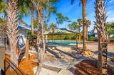 50 Cinnamon Fern Lane - Photo 59
