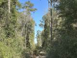 Lot 3 Coon Bottom Estate - Photo 12