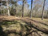 Lot 3 Coon Bottom Estate - Photo 7