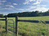 261.6 ac Millside Road - Photo 10