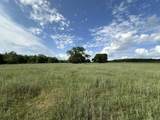 261.6 ac Millside Road - Photo 14