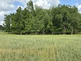 261.6 ac Millside Road - Photo 15