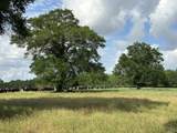 261.6 ac Millside Road - Photo 17