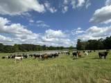 261.6 ac Millside Road - Photo 26