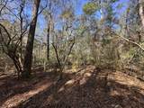 Lot 15 Coon Bottom Estates - Photo 1