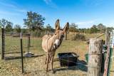2115 Hinote Road - Photo 77