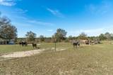 2115 Hinote Road - Photo 78