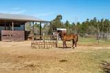 2115 Hinote Road - Photo 79