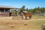 2115 Hinote Road - Photo 80