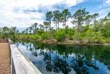 345 Flatwoods Forest Loop - Photo 43