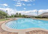 1034 Limpkin Street - Photo 35