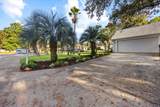 3141 Calle De Ciervo - Photo 5