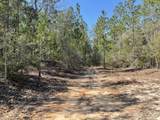 1Ac- Lot 7 Strong Bishop Way - Photo 4