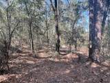 1Ac- Lot 7 Strong Bishop Way - Photo 7