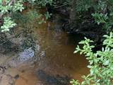 31 acres Canyon Trail - Photo 4