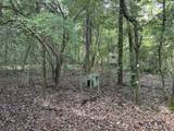 6102 Turkey Track Road - Photo 9