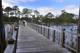 667 Royal Fern Way - Photo 89