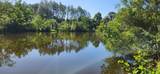 5507 Poinsetta Street - Photo 8