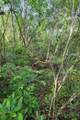 134 Deer Valley Road - Photo 75