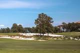 98 Dune Drive - Photo 77