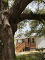 914 Georgia Street - Photo 1
