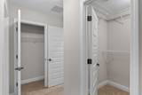 8247 Tavira Street - Photo 32
