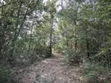 81.1+/- AC Old River Road - Photo 53