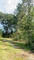 363 Acres Fl-85 - Photo 4