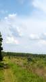 363 Acres Fl-85 - Photo 6