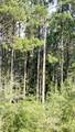 363 Acres Fl-85 - Photo 7
