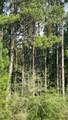 363 Acres Fl-85 - Photo 8