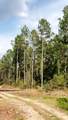 363 Acres Fl-85 - Photo 9