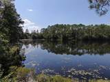 Lot 20 Magnolia Lake Drive - Photo 16