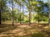 4351 Poverty Creek Road - Photo 46
