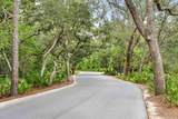 275 Mango Lane - Photo 75