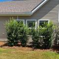 7 Ettie Lee Lane - Photo 28