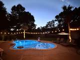 205 Jamaica Cove - Photo 50