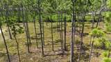 lot 5 Foxmire Farm Road - Photo 9