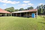 190 Peaden Bridge Road - Photo 41