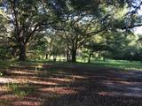 31 Canopy Oak Road - Photo 4