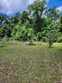 2888 Highway 81 - Photo 5