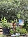335 Acacia Street - Photo 35