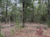 Lot D Pineforest Drive - Photo 4