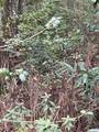 Lot 123 Eagle Court - Photo 20