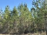 Tract#6317 Harris Stevenson Road - Photo 14