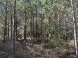Tract#6317 Harris Stevenson Road - Photo 17