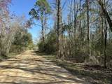 Tract#6317 Harris Stevenson Road - Photo 2