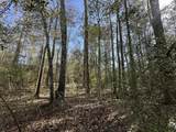 Tract#6317 Harris Stevenson Road - Photo 8