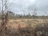 Tract#6402 N Chance Road - Photo 4